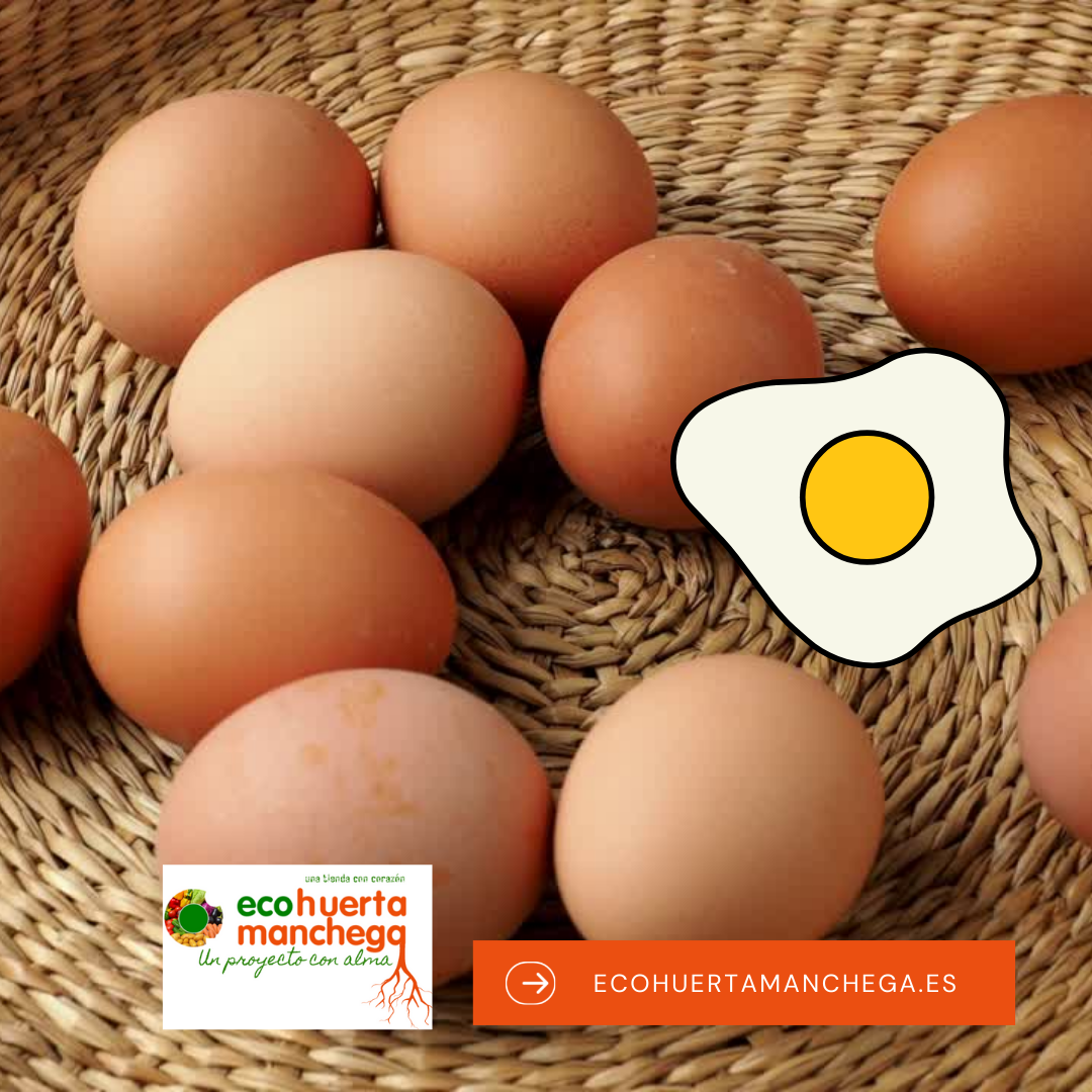 En este momento estás viendo ¿De dónde vienen los huevos de Ecohuerta Manchega?