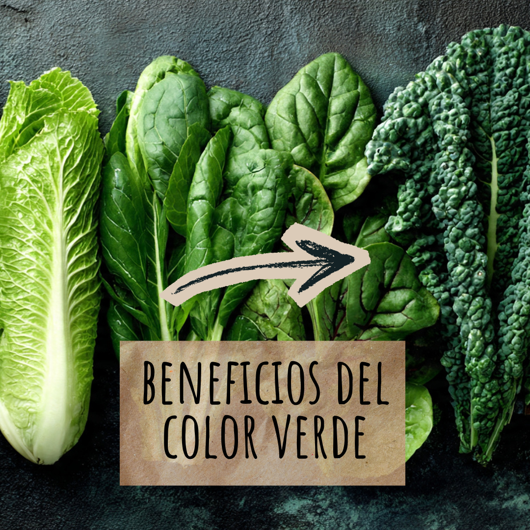 En este momento estás viendo Beneficios de las verduras
