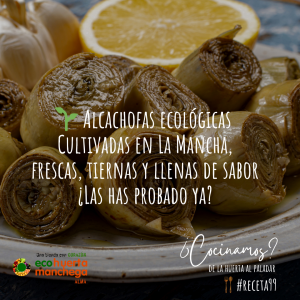 Lee más sobre el artículo Receta de la semana: Alcachofas