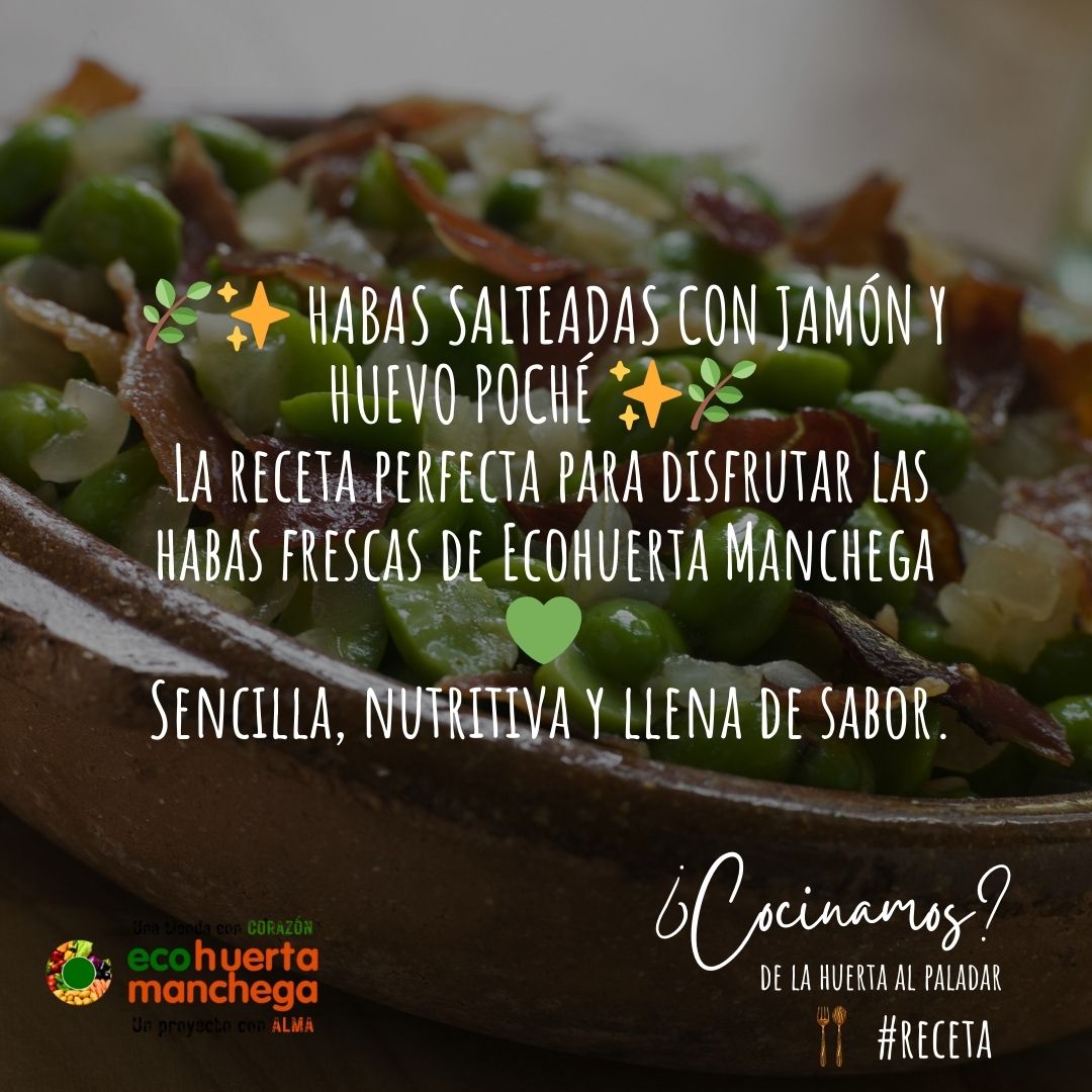 En este momento estás viendo Receta con nuestras habas recién llegadas